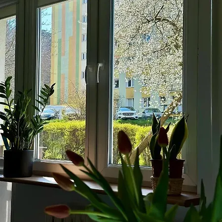 Uroczy - Apartment *