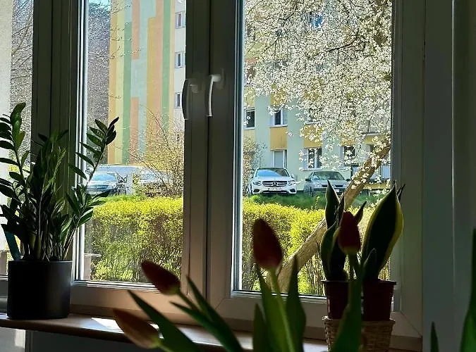 Uroczy - Appartamento *